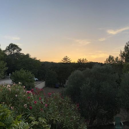 Natur & Jasmin Chambres D'Hotes Naturistes En Provence Lorgues Exterior foto