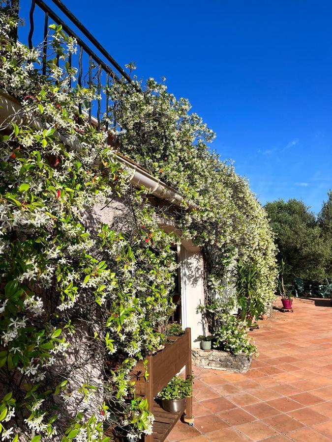 Natur & Jasmin Chambres D'Hotes Naturistes En Provence Lorgues Exterior foto
